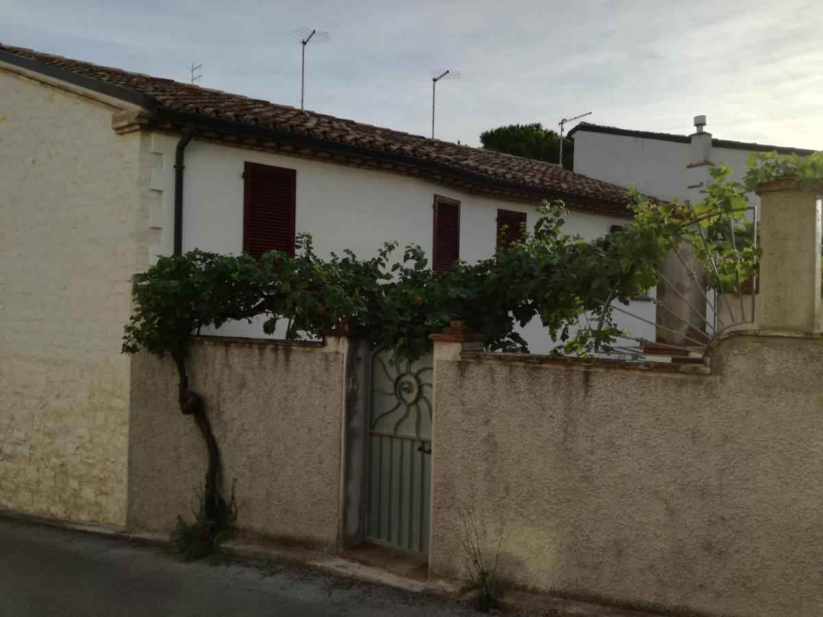 B&B Capo Le Vigne Sirolo Eksteriør billede