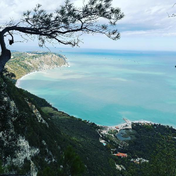 B&B Capo Le Vigne Sirolo Eksteriør billede
